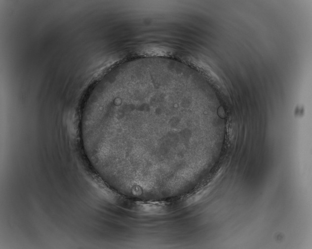 X0000101220359200807251117