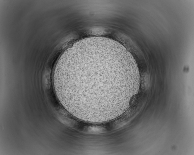 X0000101220360200807251117