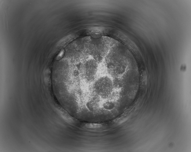 X0000101220361200807251117