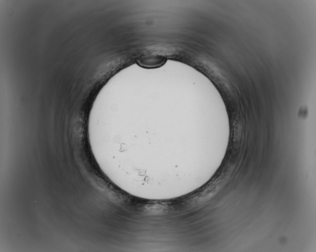 X0000101220362200807251117