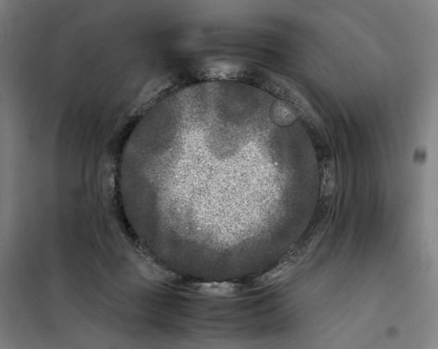 X0000101220363200807251117