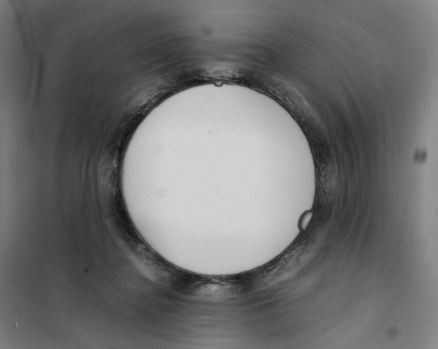 X0000101220364200807251117