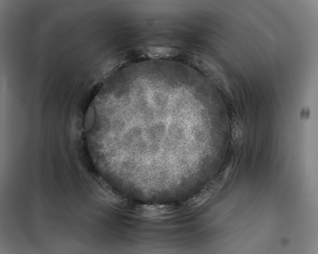 X0000101220367200807251117