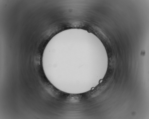 X0000101220368200807251117