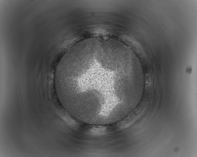 X0000101220369200807251117