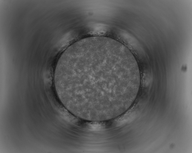 X0000101220370200807251117