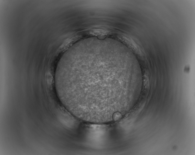 X0000101220371200807251117