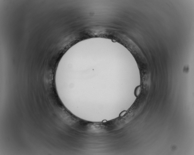 X0000101220372200807251117