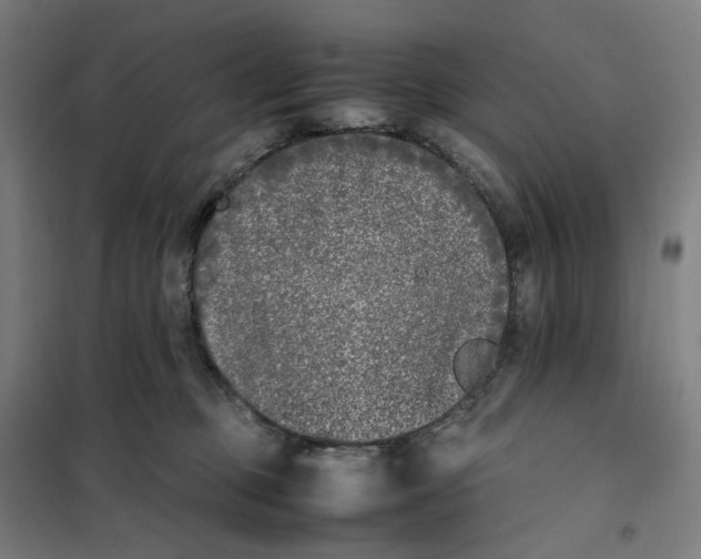 X0000101220373200807251117