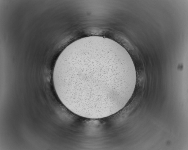 X0000101220374200807251117