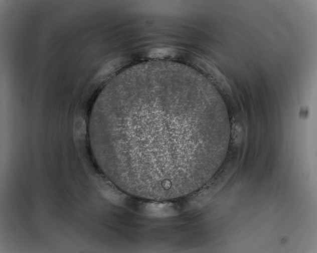 X0000101220375200807251117