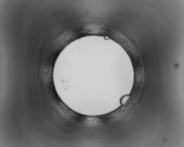 X0000101220376200807251117