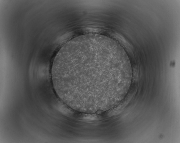 X0000101220377200807251117