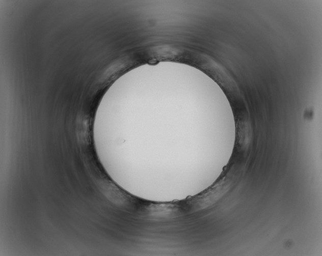X0000101220378200807251117