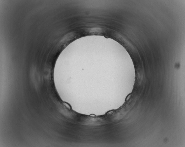 X0000101220379200807251117