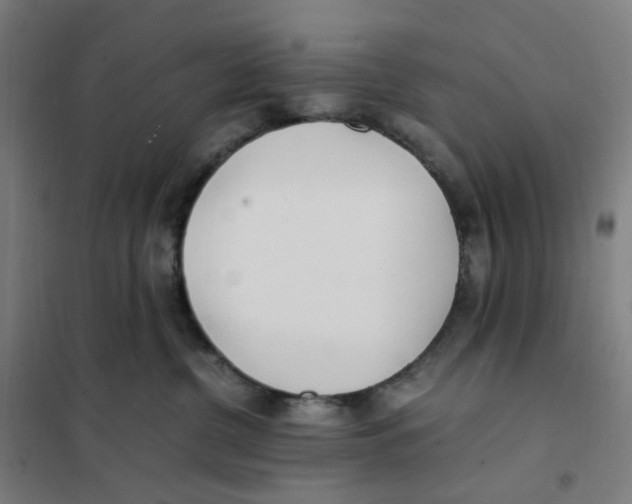 X0000101220380200807251117