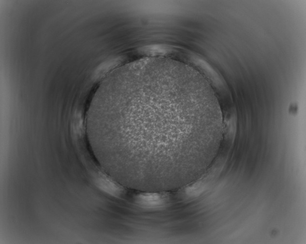 X0000101220381200807251117