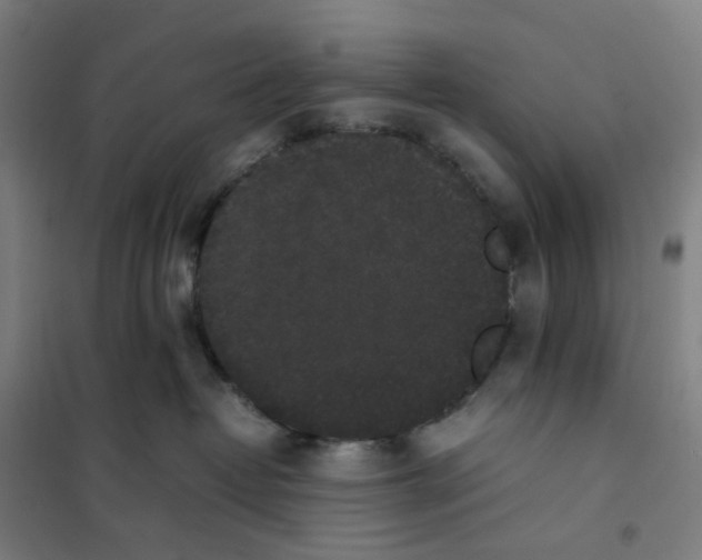 X0000101220382200807251117