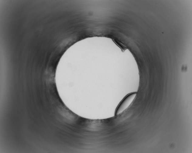 X0000101220384200807251117