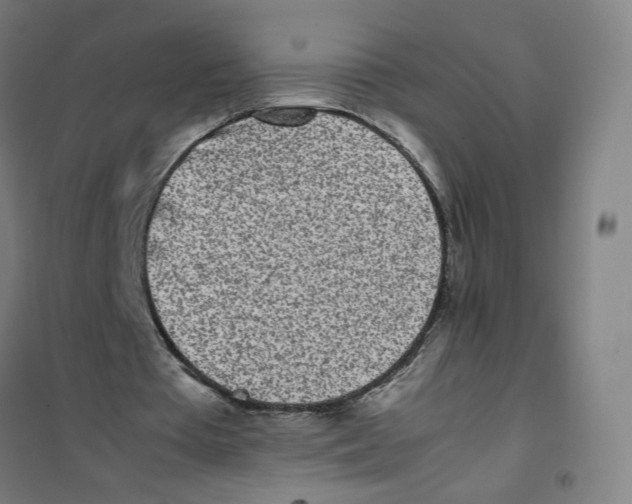 X0000101220385200807251116