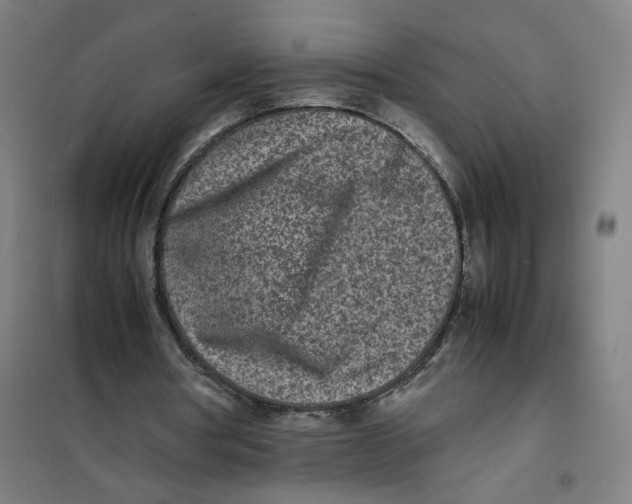 X0000101220386200807251116