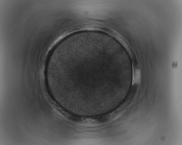 X0000101220387200807251116