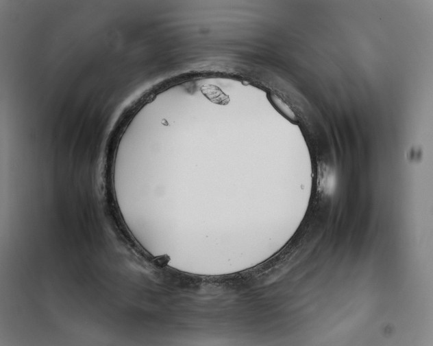 X0000101220388200807251116