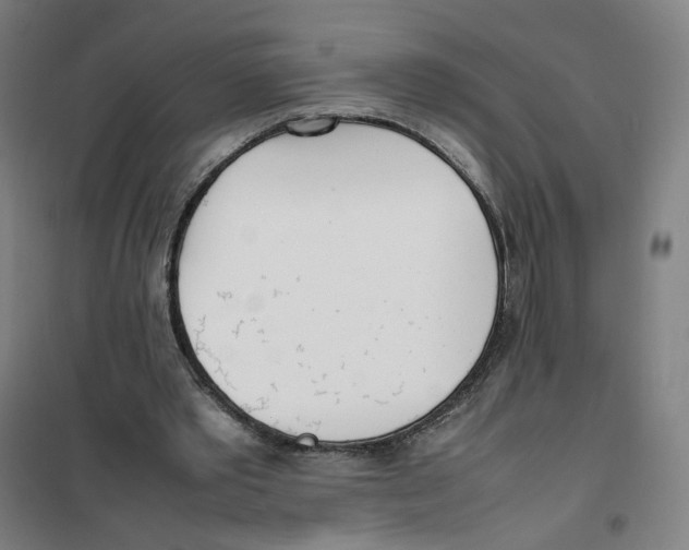 X0000101220389200807251116