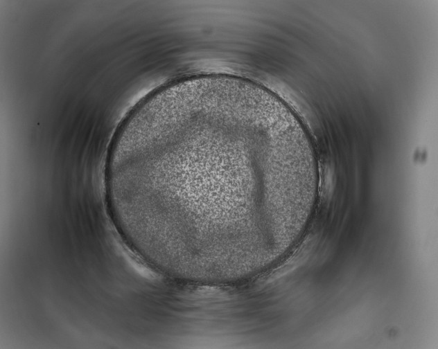 X0000101220390200807251116