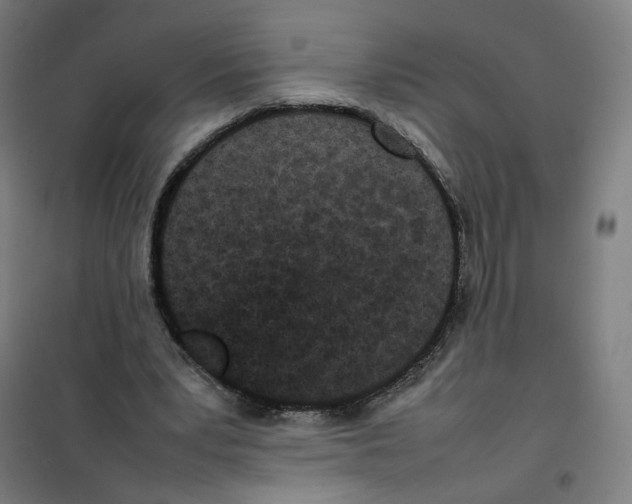 X0000101220391200807251116