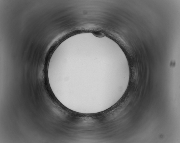 X0000101220392200807251116