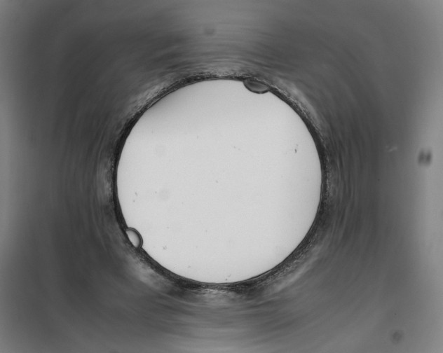 X0000101220393200807251116