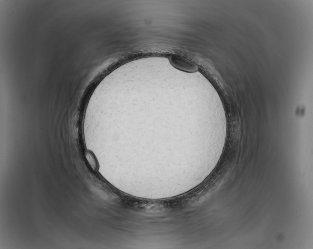 X0000101220395200807251116
