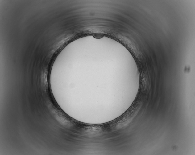 X0000101220398200807251116