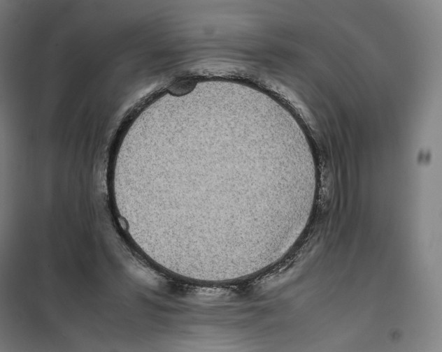 X0000101220399200807251116
