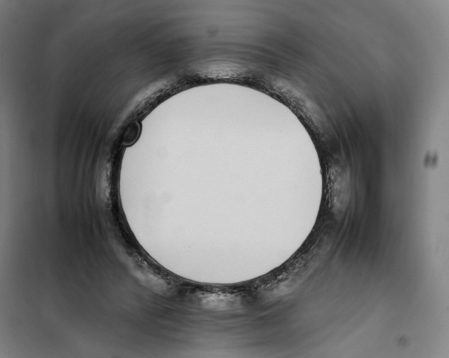 X0000101220400200807251116