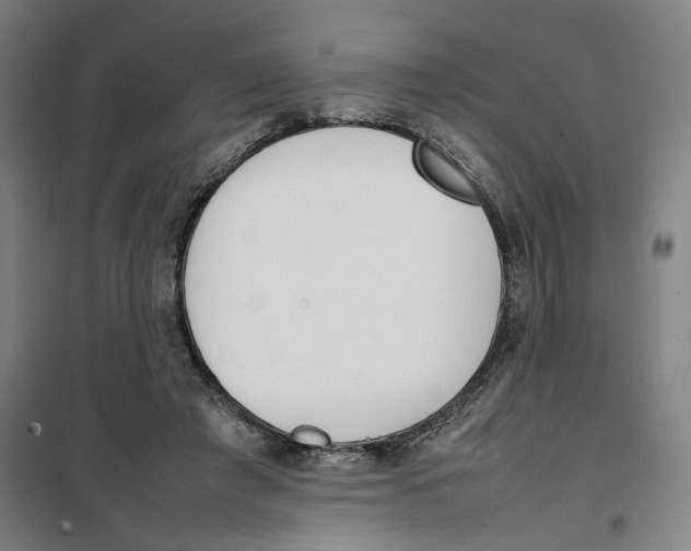 X0000101220401200807251116