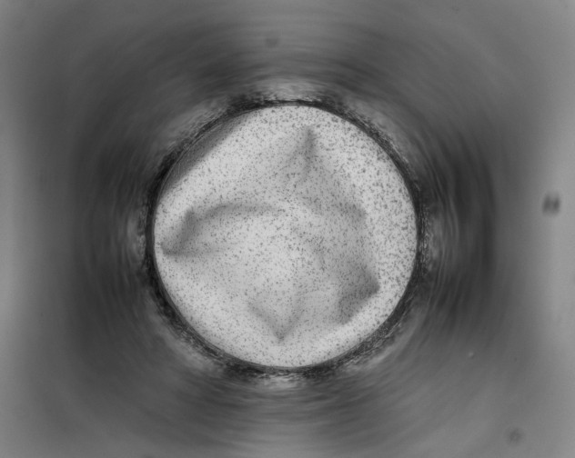 X0000101220402200807251116