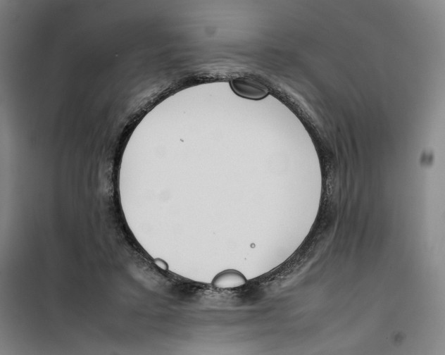X0000101220403200807251116