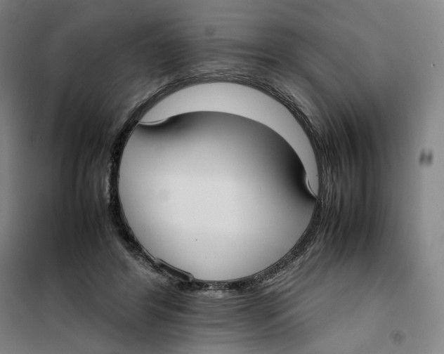 X0000101220404200807251116