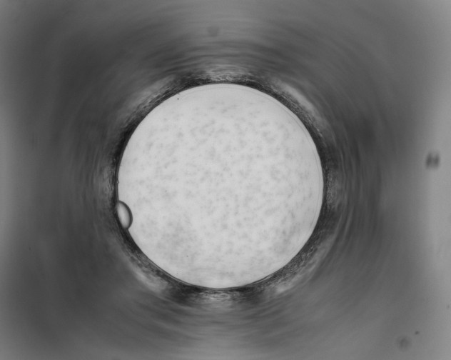 X0000101220405200807251116