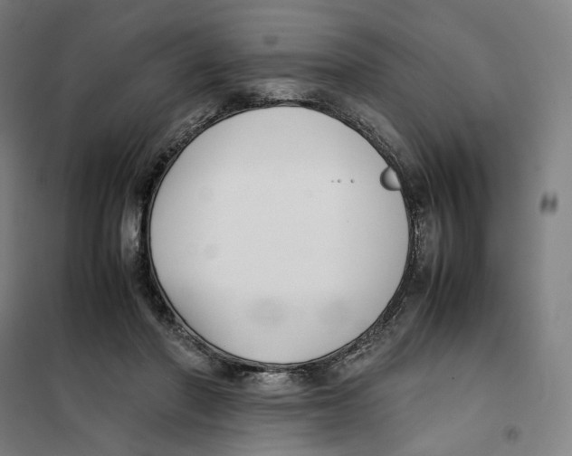 X0000101220406200807251116