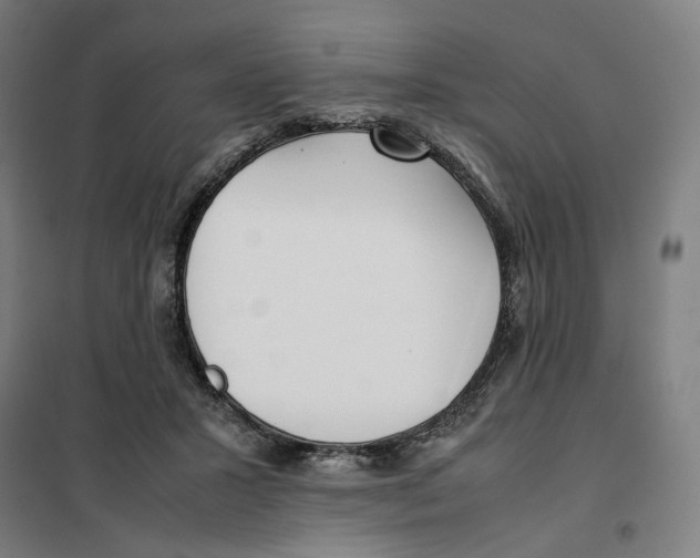 X0000101220407200807251116