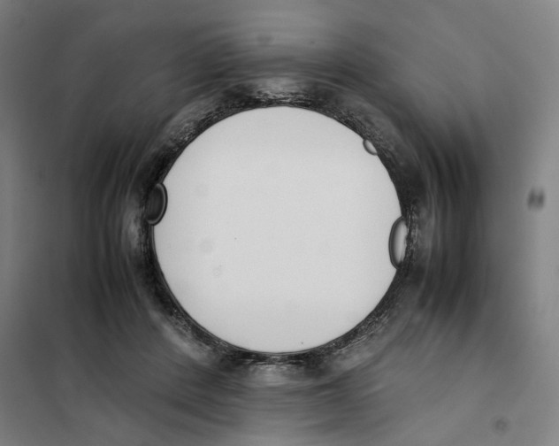 X0000101220408200807251116