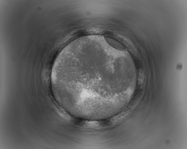 X0000101220409200807251116