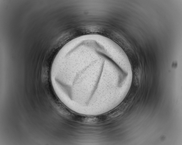 X0000101220410200807251116
