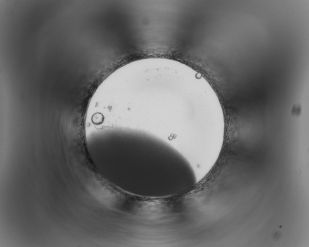 X0000101220411200807251116