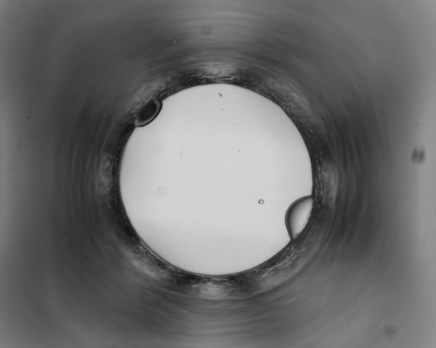 X0000101220412200807251116