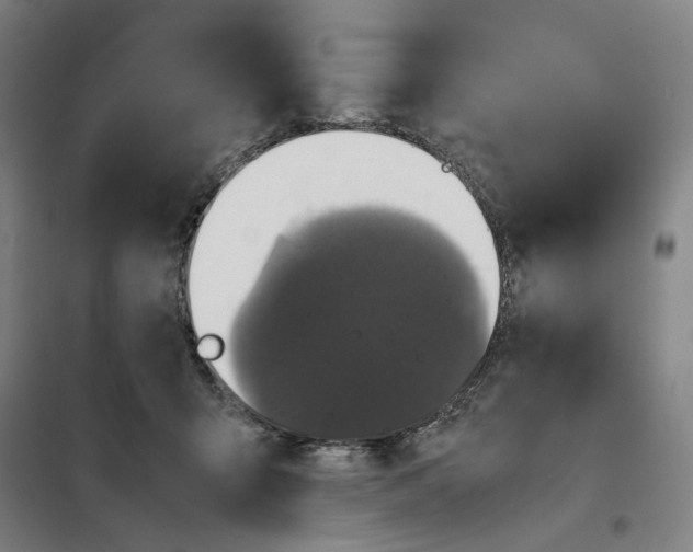 X0000101220415200807251116