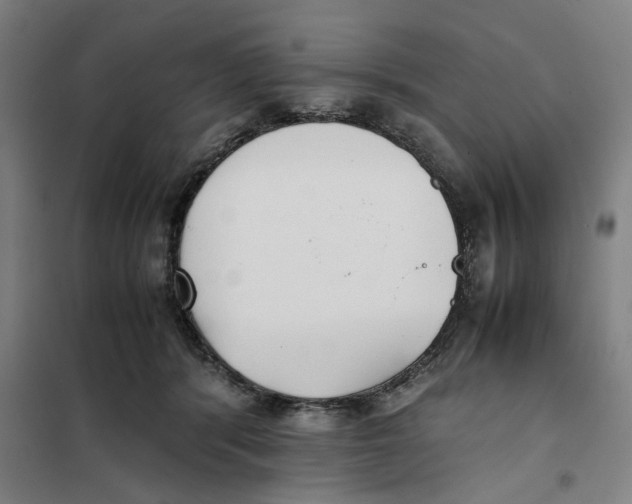 X0000101220416200807251116